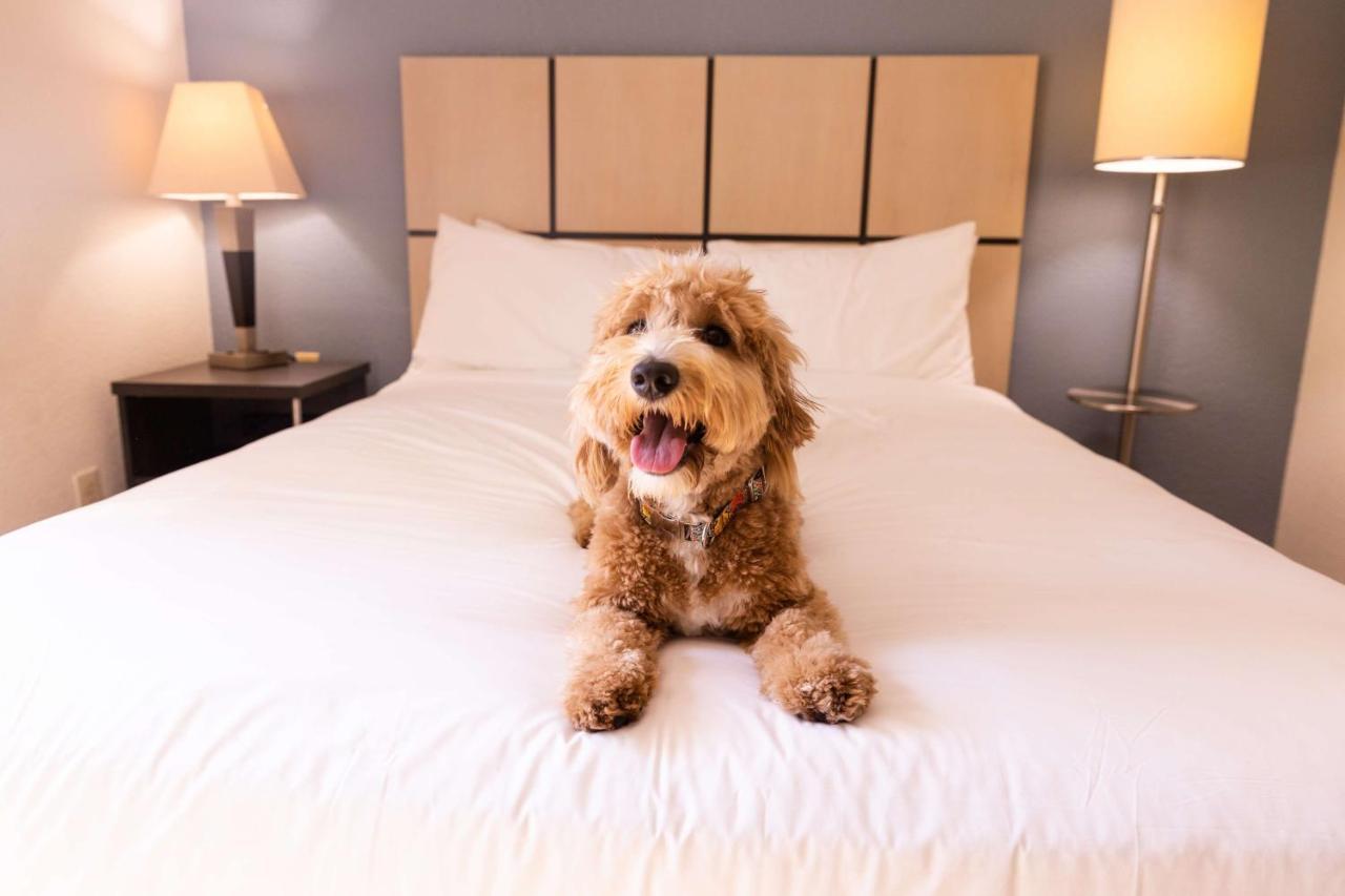Sonesta Simply Suites Chicago Libertyville Buitenkant foto
